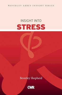 Insight Into Stress (Paperback)