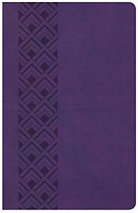 CSB Ultrathin Reference Bible, Value Edition, Purple Leather (Imitation Leather)