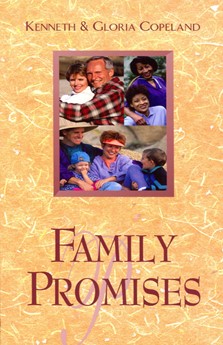 Family Promises (Paperback)