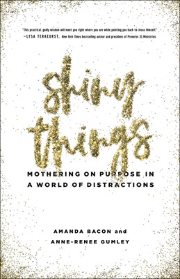 Shiny Things (Paperback)