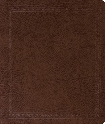 ESV Journaling Bible (Mocha, Threshold Design) (Imitation Leather)