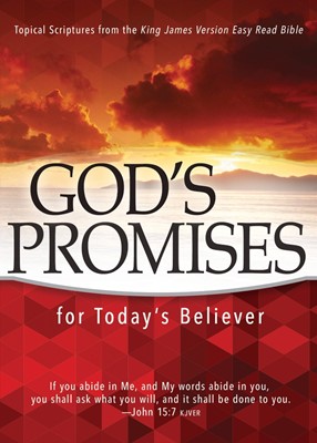 God's Promises For Today's Believer (Paperback)