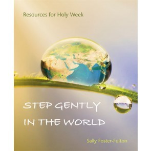 Step Gently In The World (Paperback)