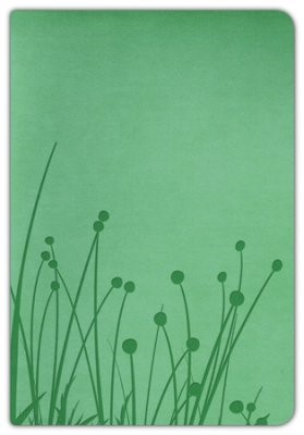 RVR 1960 Biblia Tamaño Personal, pradera verde símil piel (Imitation Leather)