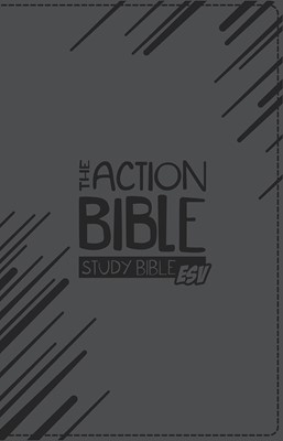 ESV Action Bible Study Bible, Grey (Imitation Leather)