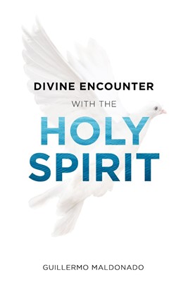 Divine Encounter With The Holy Spirit (Paperback)