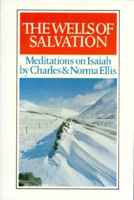 The Wells of Salvation (Paperback)