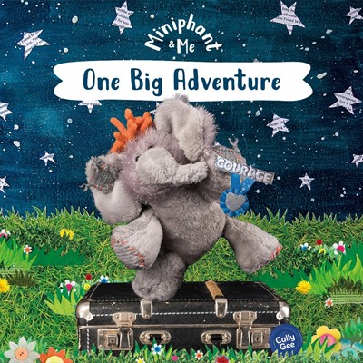 One Big Adventure (Paperback)