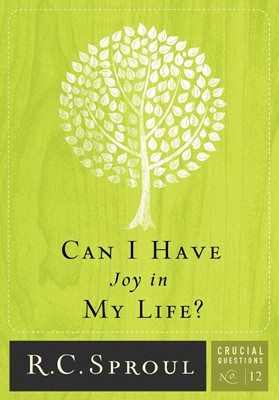 Can I Have Joy In My Life? (Paperback)