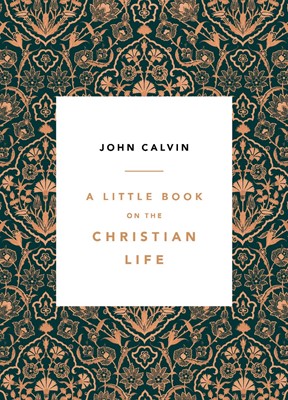 Little Book On The Christian Life, A (Paperback)