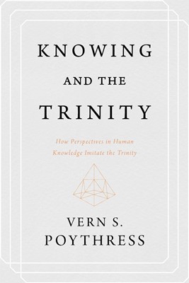 Knowing and the Trinity (Paperback)