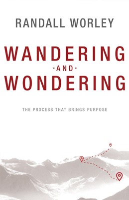 Wandering And Wondering (Paperback)