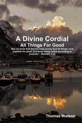 Divine Cordial, A (Paperback)
