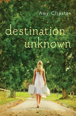 Destination Unknown (Paperback)