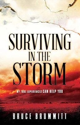Surviving In The Storm (Paperback)