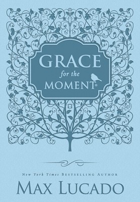 Grace For The Moment (Paperback)