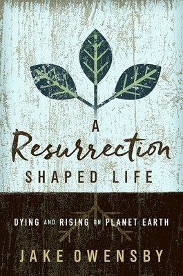 Resurrection Shaped Life, A (Paperback)