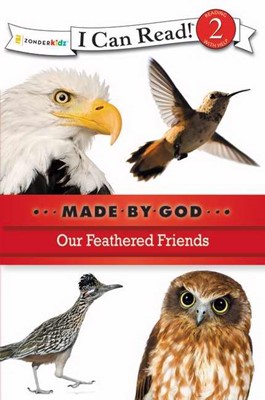 Our Feathered Friends (Paperback)