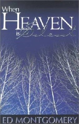 When Heaven Is Silent (Paperback)