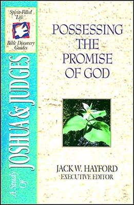Possessing The Promise Of God (Paperback)