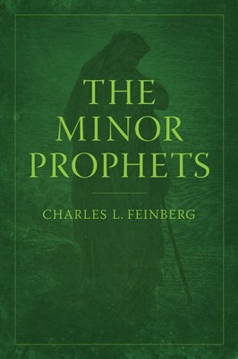 The Minor Prophets (Paperback)