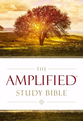 Amplified Study Bible (Hard Cover)