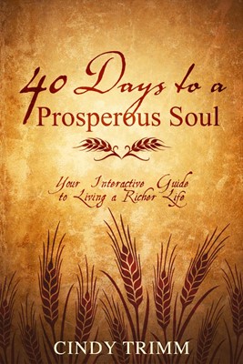 40 Days To A Prosperous Soul (Paperback)