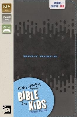KJV Bible For Kids, Charcoal (Imitation Leather)