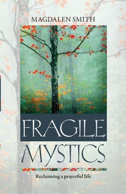 Fragile Mystics (Paperback)