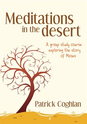 Meditations in the Desert (Paperback)