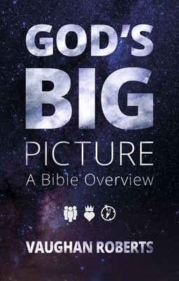 God's Big Picture (Paperback)