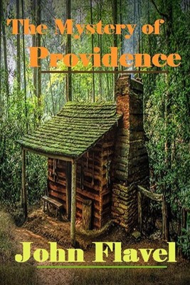 The Mystery of Providence (Paperback)