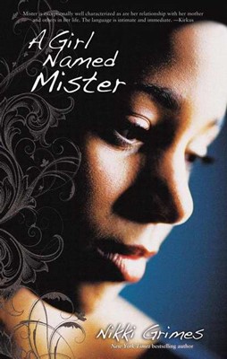 Girl Named Mister, A (Paperback)