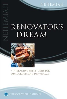 IBS Renovator's Dream (Paperback)
