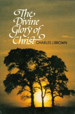 The Divine Glory Of Christ (Paperback)