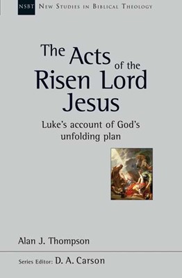 The Acts Of The Risen Lord Jesus (Paperback)
