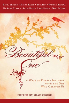 Beautiful One (Paperback)