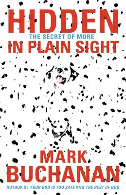 Hidden in Plain Sight (Paperback)