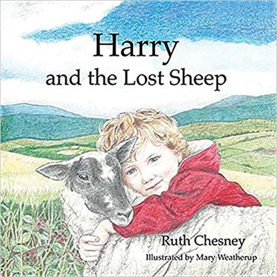 Harry and the Lost Sheep (Paperback)