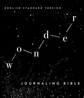 ESV Wonder Journaling Bible (Hard Cover)