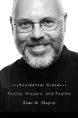 Accidental Grace (Paperback)