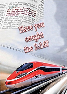 Have you caught the 3:16? (Paperback)
