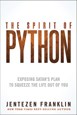 The Spirit Of Python (Paperback)