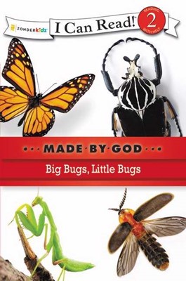 Big Bugs, Little Bugs (Paperback)