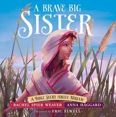 Brave Big Sister, A (Hard Cover)