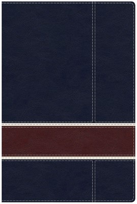 Military Families Bible Navy/Crimson Leathertouch (Imitation Leather)