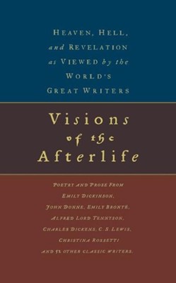 Visions of the Afterlife (Paperback)