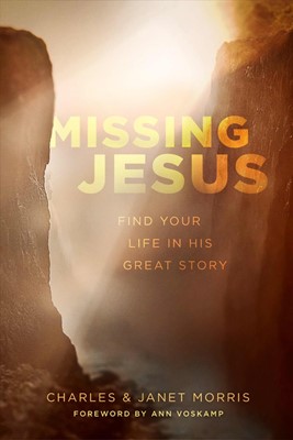 Missing Jesus (Paperback)