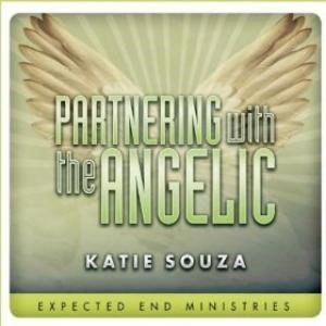 Partnering With The Angelic (CD-Audio)