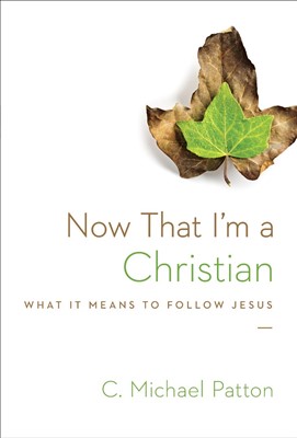 Now That I'm a Christian (Paperback)